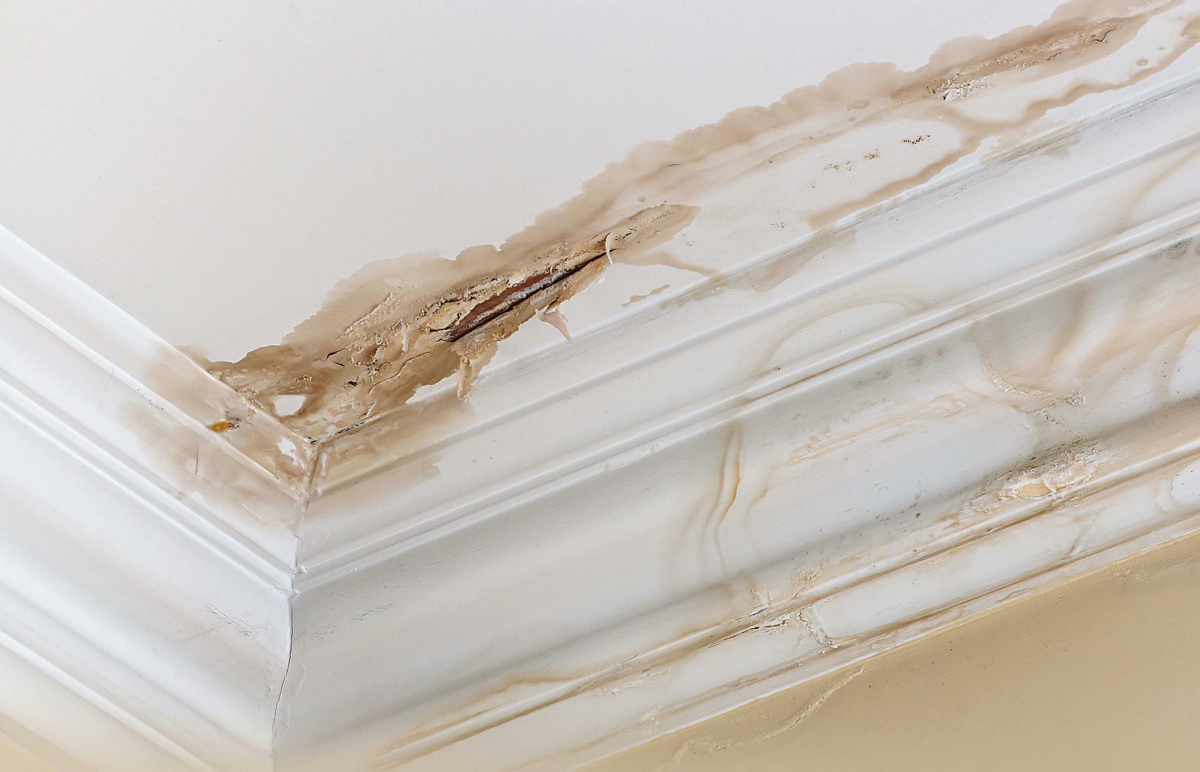 घर को जल रिसाव से बचाएं